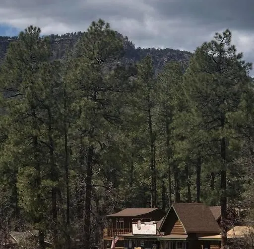 Forest 7 Seventh Heaven Holiday home *