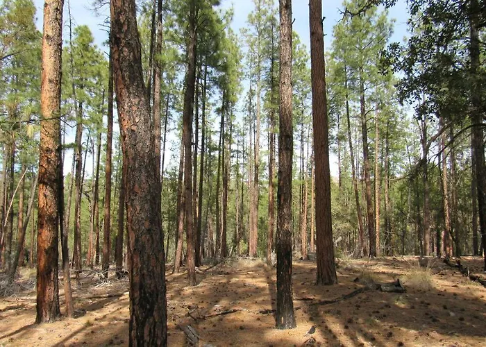 Holiday home Forest 7 Seventh Heaven *